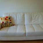 Spring Flower Cushion